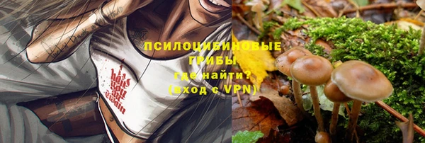 МДМА Арсеньев