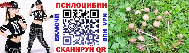 что такое наркотик  MEGA зеркало  Псилоцибиновые грибы мухоморы  Мензелинск 