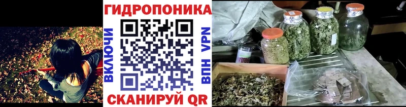 Каннабис гибрид Мензелинск